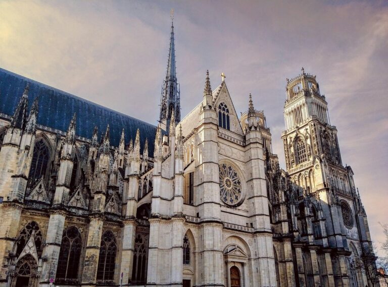 tradutor português francês com áudio