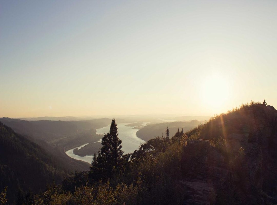 Comparing Your Options: Traditional Banks vs. Online Transfer Specialists