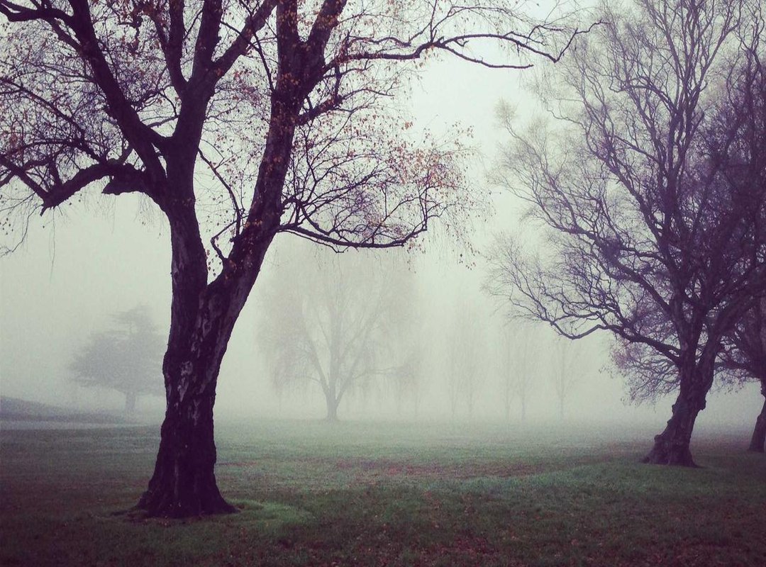 Expand Your Playlist: Similar Artists and Tracks