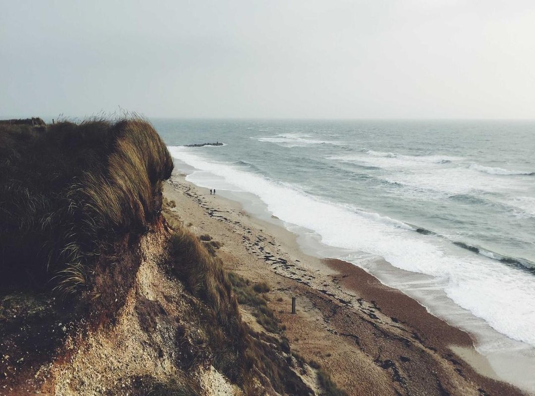 From a Single Sound to a Global Trend: How the Meme Spread