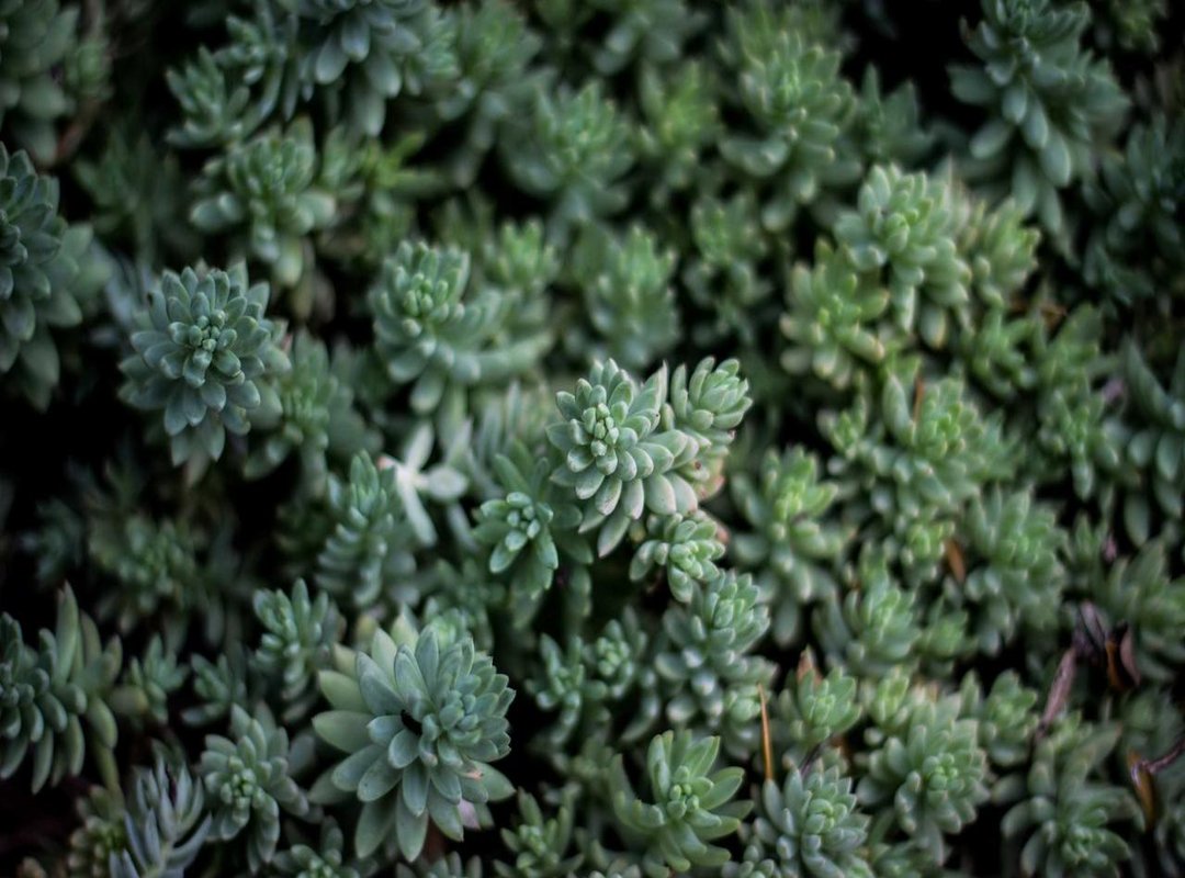 Step-by-Step: Sketching Kuromi's Body and Outfit