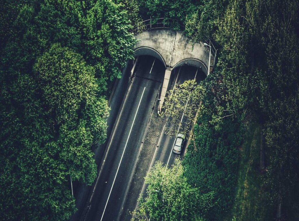 lookmovies2.to legit