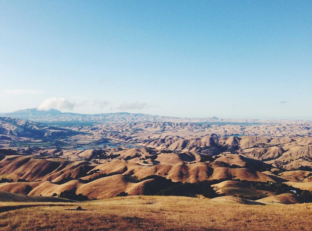 DIY Guide: How to Create a Custom Best Friend Wallpaper in Under 10 Minutes